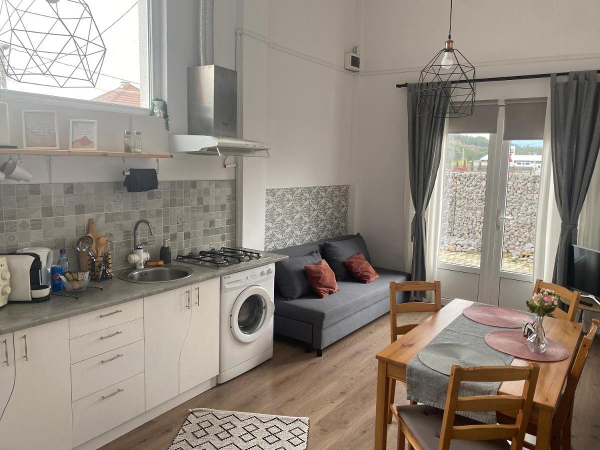 Fressh House Apartment Sincraieni ภายนอก รูปภาพ